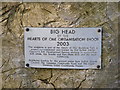TM1473 : Plaque on Big Head by Geographer