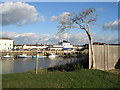 Looking across the Arun towards The Arun View