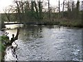 Footbridge, River Avon, Figheldean