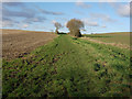 TL6554 : Footpath towards Burrough Green by Hugh Venables