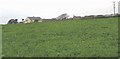 Pen Bryn and St Maelog Church viewed across a field of kale