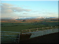 Farmland near Ysbyty Ifan