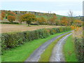 SO6430 : Farm track and Gwynne's Hill by Jonathan Billinger