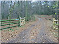 Footpath up to Coppice House