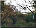 Bridleway near Cawthorne Beck