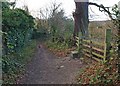 Bridleway from Cawthorne Village to Cannon Hall country park