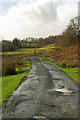 Potholes in the road to Affallenchwerw and Llwyngarth