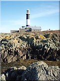 J6086 : Mew Island Lighthouse by John Grant