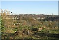 Allotments - St Michael