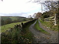 Lane towards Norwood Bottom Hall