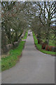 A country road near Gretna Green