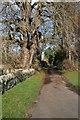 Church lane