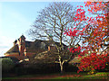 Autumn trees beside the Great Hall, University of Reading