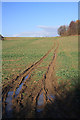 TL7158 : Farm track to The Thicket by Bob Jones