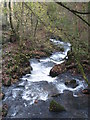 The River Kennall in Roches Wood