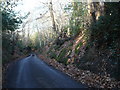 Bysing Wood Road looking towards Luddenham