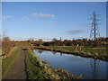 Chesterfield Canal - Approaching Mill Green (Staveley)