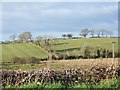 Townland of Loughadian