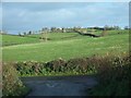 Townland of Drumsallagh near  Loughbrickland