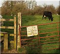 "Stay on footpath or stay home"