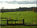 Pasture, Knowl Hill