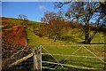 Near Troedrhiw