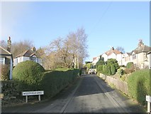 SE1737 : Westfield Grove - Highfield Lane, Idle by Betty Longbottom