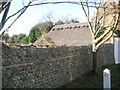 Decoy  birds on  thatched building opposite The Black Horse