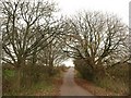 Road from Blandford Camp