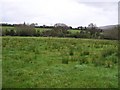 Derrylea Townland