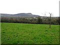 Derryclegna Townland