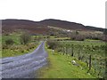 Road at Larganacarran