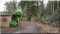 Bridleway junction near Bramshott Court