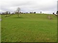 Drumclounish Townland