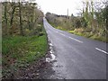 Road at Florence Court