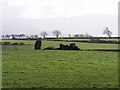 Ucheldref Burial Chambers