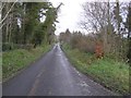 Road at Gortnagribbin