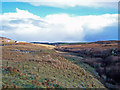 View up the glen