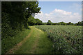 Footpath from Yew Tree Farm