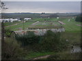 Watercress beds, Spetisbury