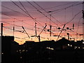NZ2463 : The eastern approaches to Newcastle Central station at sunset by Mike Quinn