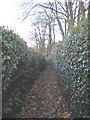 Footpath to Plas Newydd