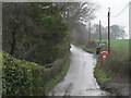 Manswood: phone box in Crichel Lane