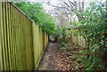 Footpath along the Southern edge of Brokes Wood