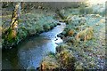 SO0257 : Stream at Ysgubor Wood by Graham Horn