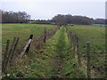 Footpath off Long Lane