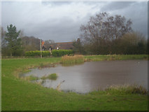 SO6879 : Pond at Overwood Common by Row17