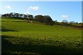 Pasture below Parc