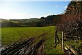 Pasture at Gilwern