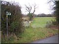 Footpath to Cowstead Wood